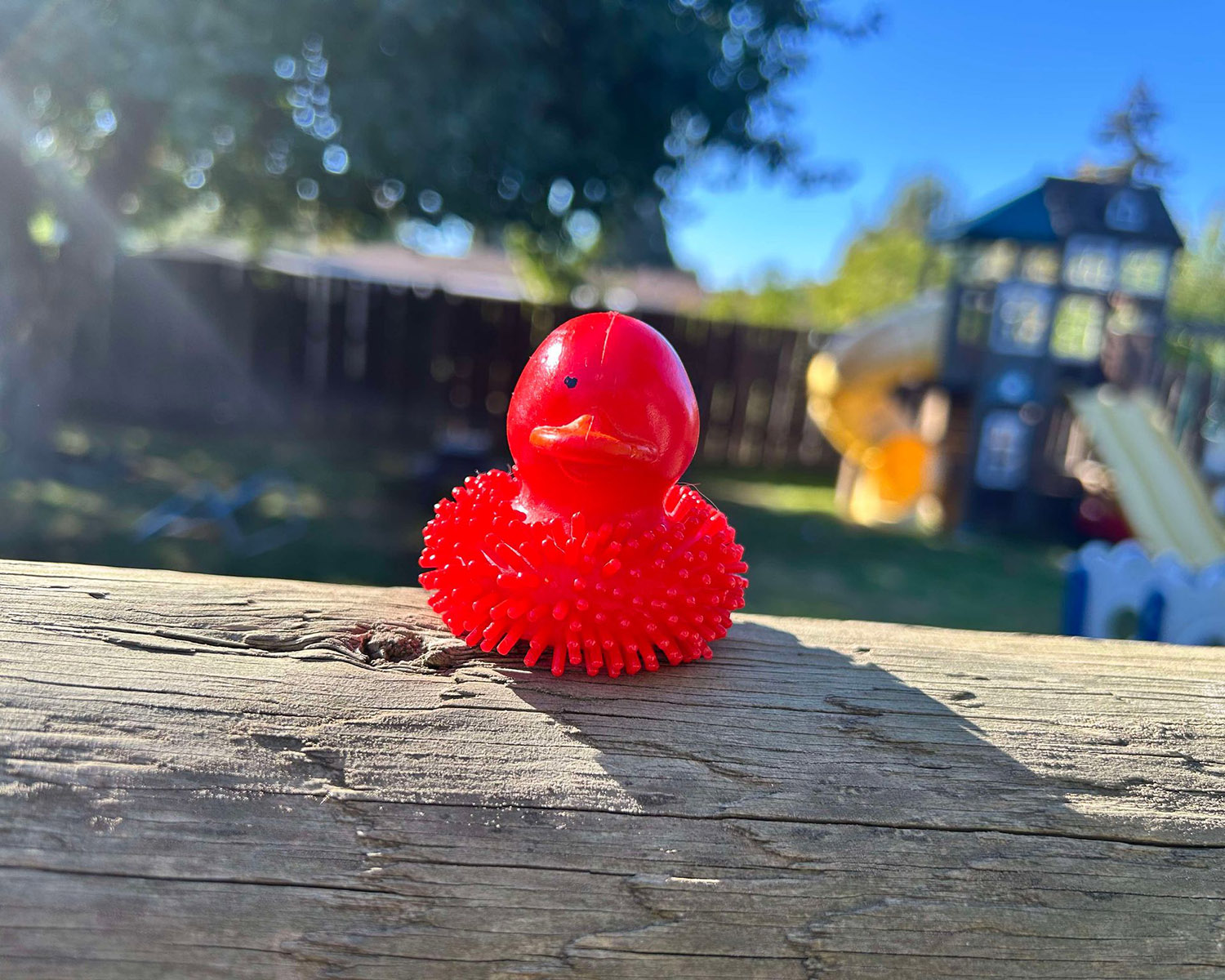Fuzzie, My Duckie